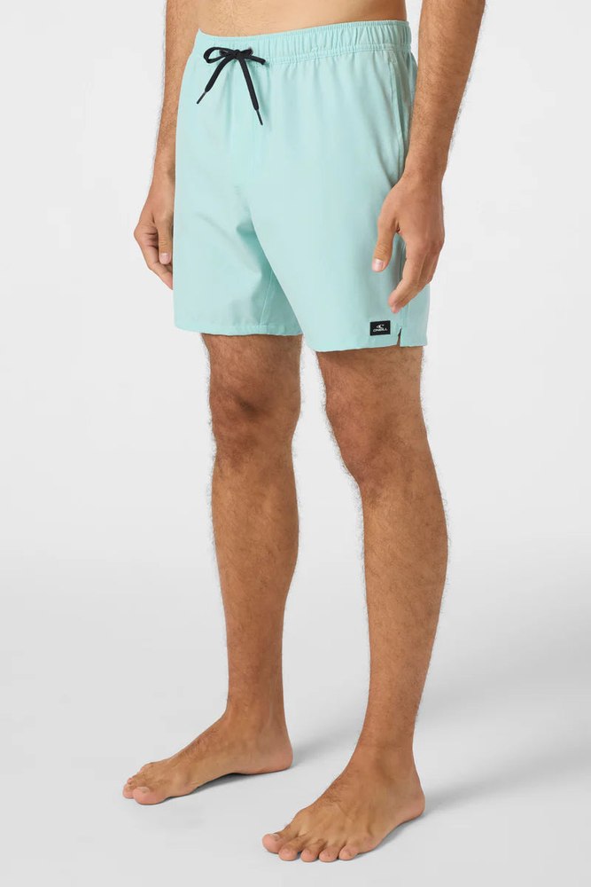 O’Neill Lennox Hermosa 17″ Swim Trunks – Men’s