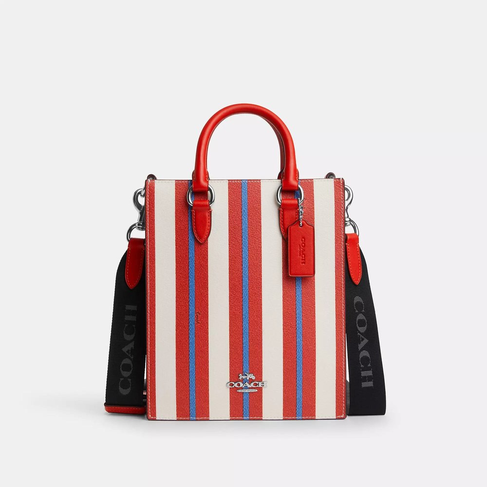 Coach Outlet Dylan Tote Bag With Stripe Print