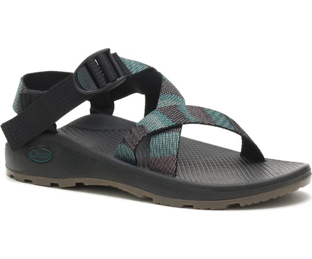 Chaco ZCloud Sandal Men’s