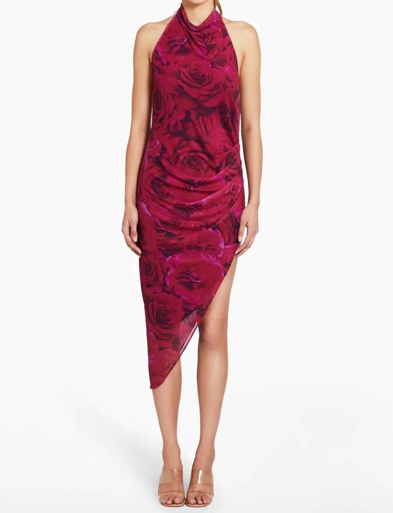 Samba Printed Midi Dress In Samira